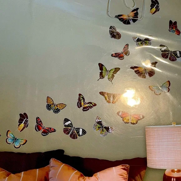 Butterfly wall decals - Picture 1 of 3